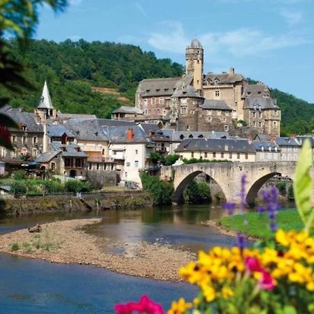 T 2 Dans Village Vacances 3 *** A Saint Geniez 2 Piscines Chauffee Pierrefiche  Eksteriør bilde