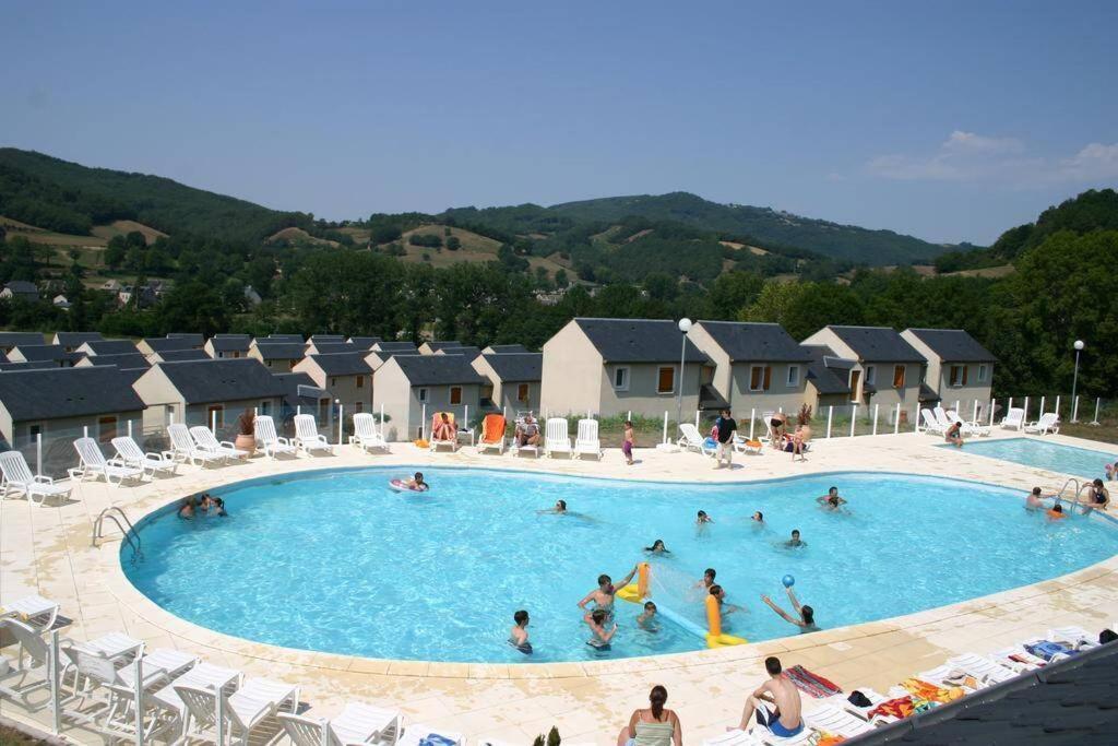 T 2 Dans Village Vacances 3 *** A Saint Geniez 2 Piscines Chauffee Pierrefiche  Eksteriør bilde