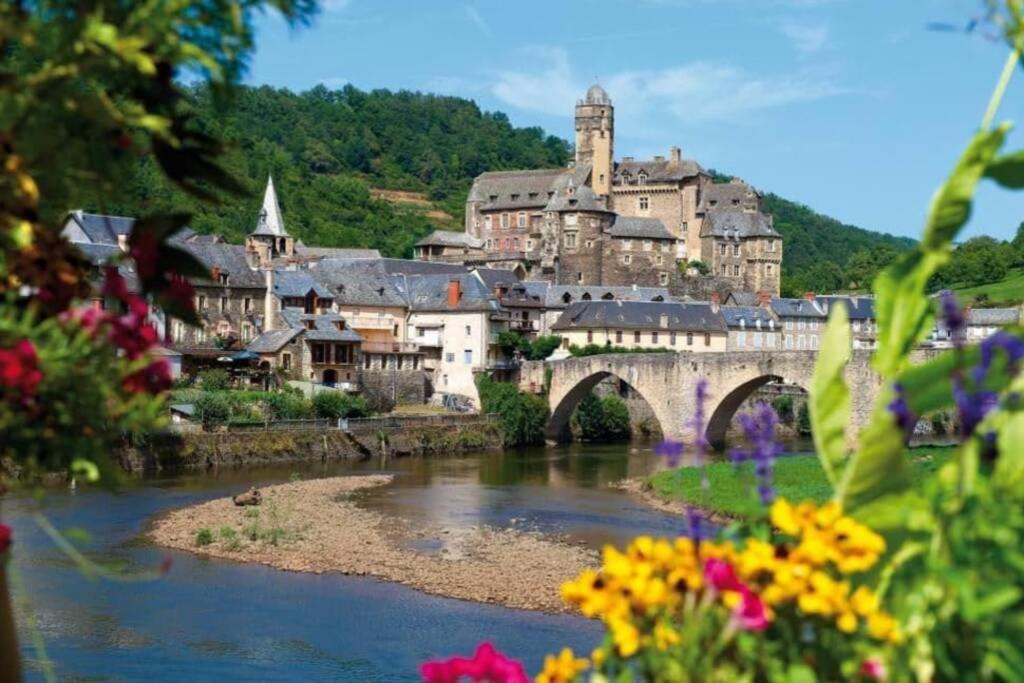 T 2 Dans Village Vacances 3 *** A Saint Geniez 2 Piscines Chauffee Pierrefiche  Eksteriør bilde